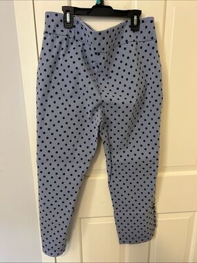 Attyre Light Blue Pinstripe Pants with Navy Polka Dots